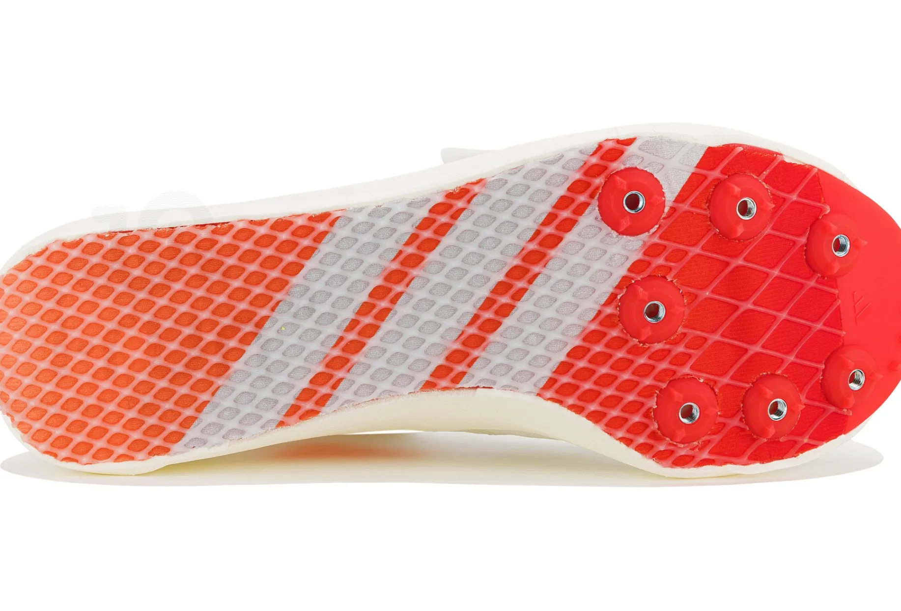 adidas adizero TJ/PV