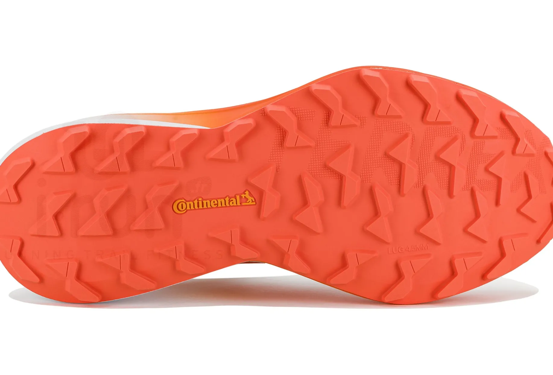 adidas Terrex Agravic 3