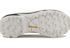 adidas Terrex Skychaser Gore-Tex