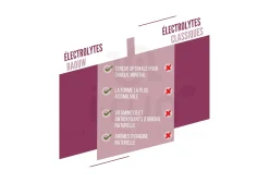 Baouw pastillas efervescentes de electrolitos Mora - Grosella Negra