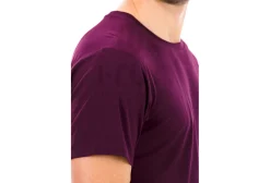Brooks Dash