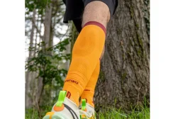 BV Sport Booster Elite Evolution