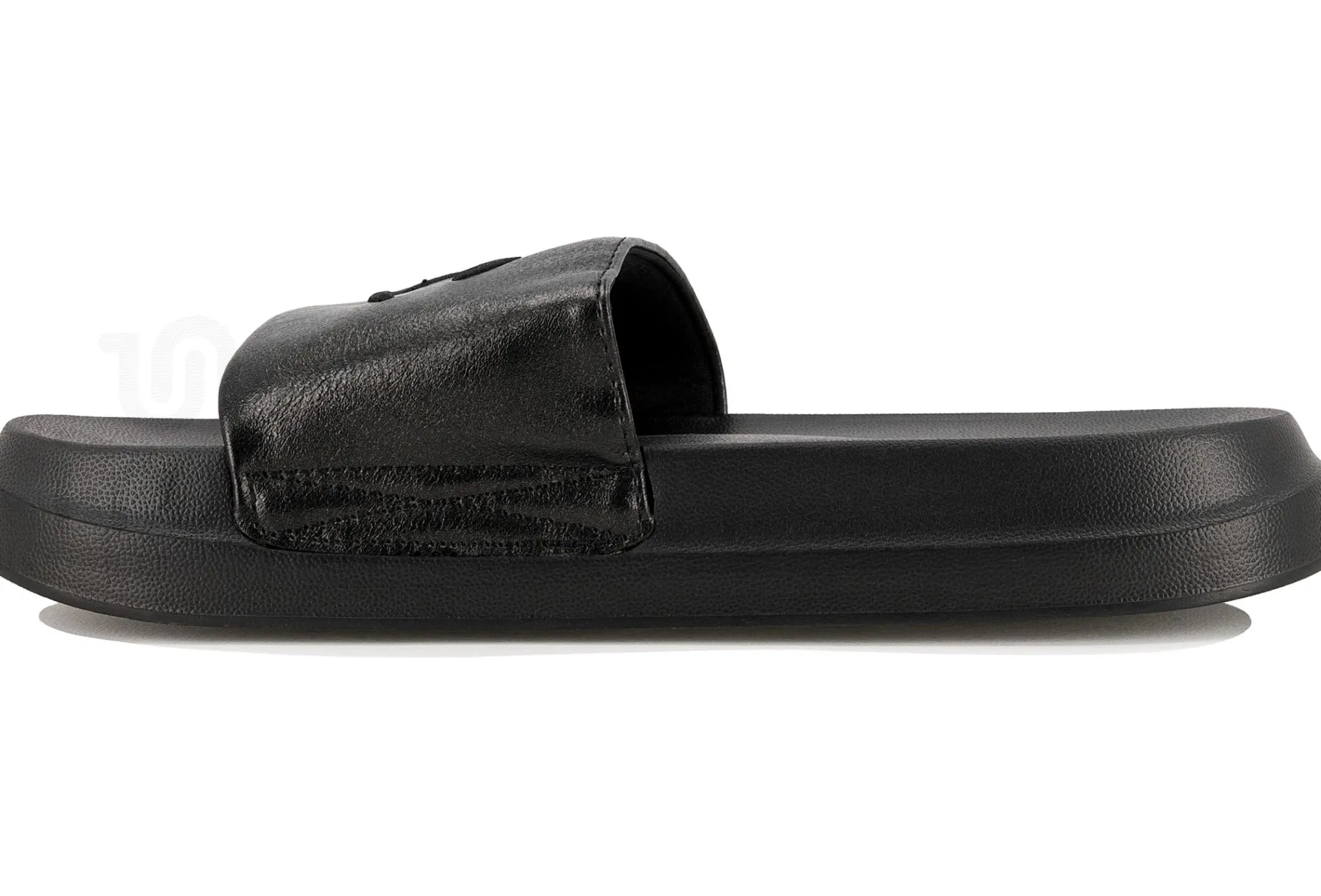 Champion Miami Platform