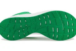 Inov-8 Roadfly Max
