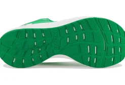 Inov-8 Roadfly Max