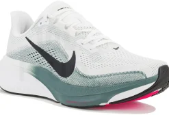 Nike Pegasus 42