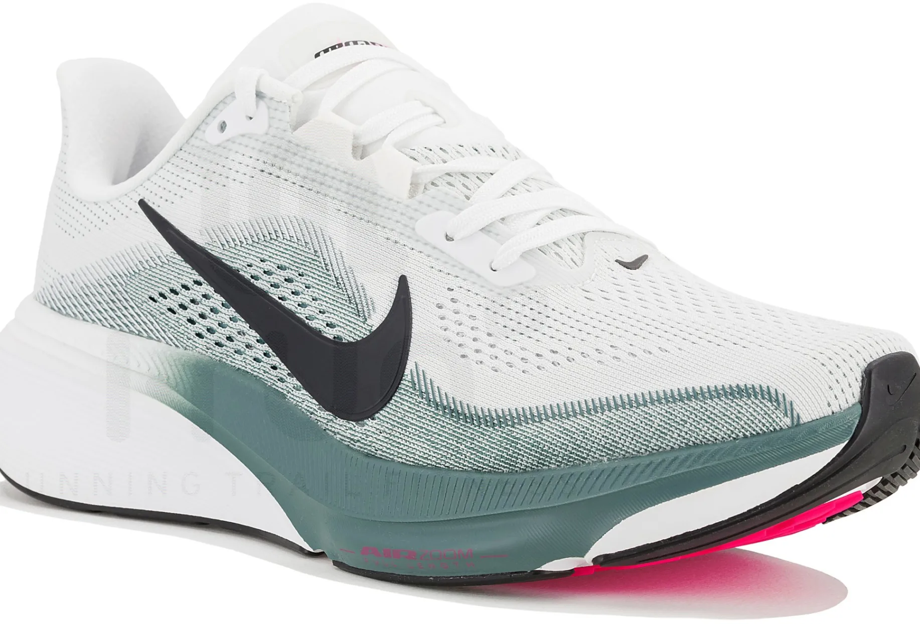 Nike Pegasus 42