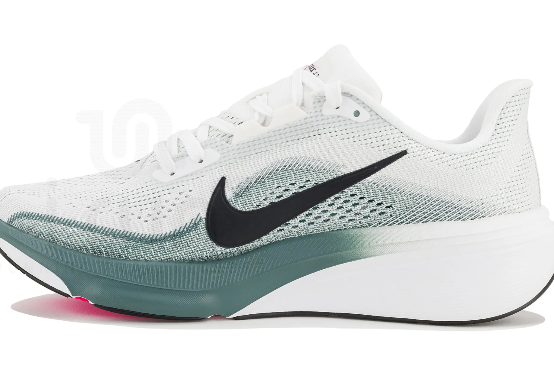 Nike Pegasus 42