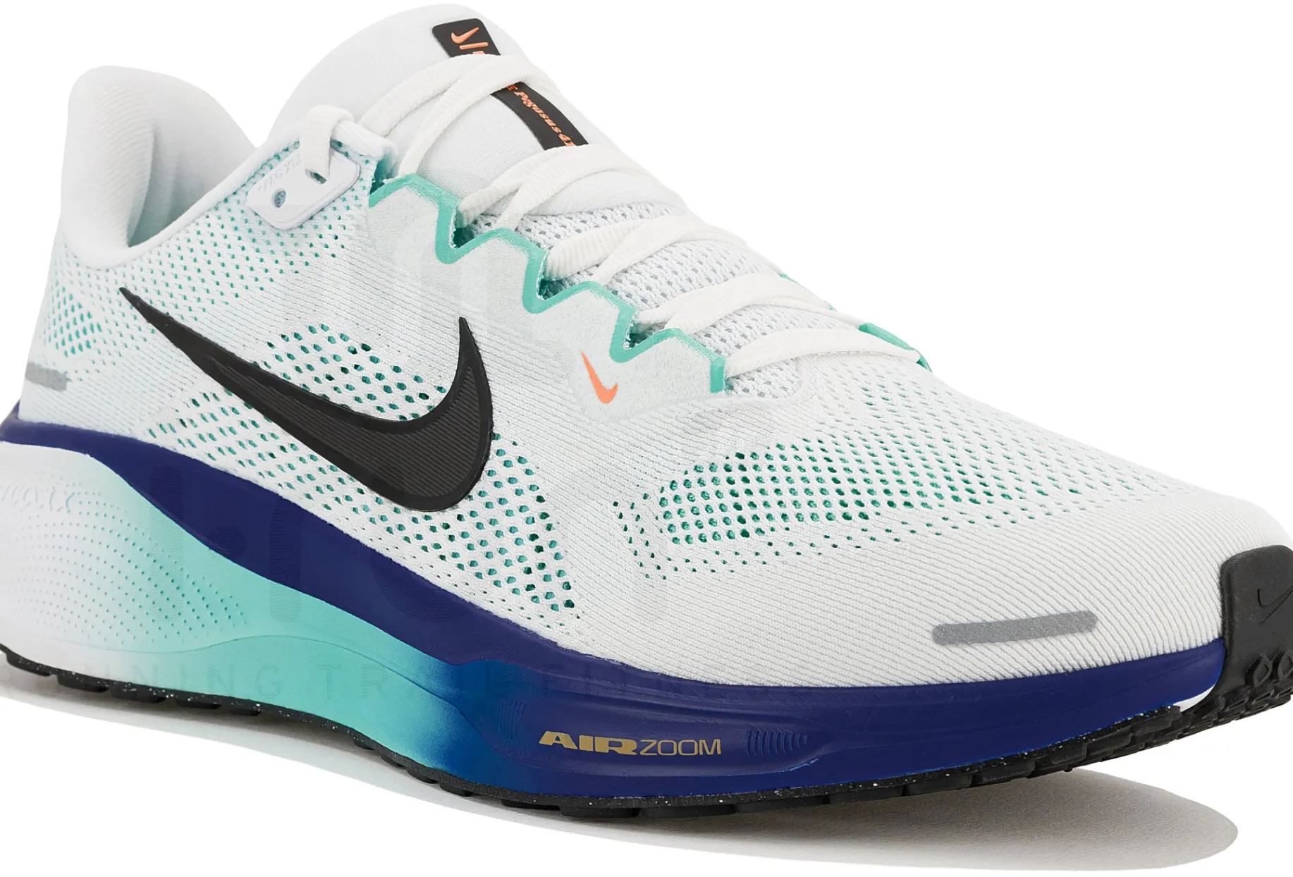 Nike Pegasus 41