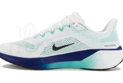 Nike Pegasus 41