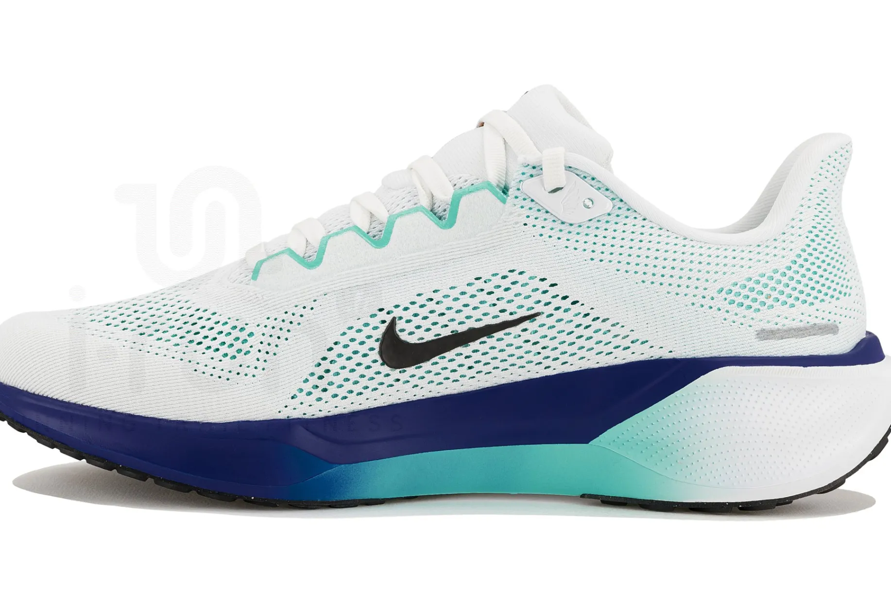 Nike Pegasus 41
