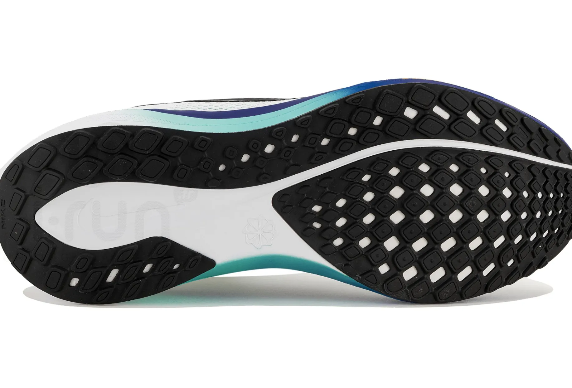 Nike Pegasus 41