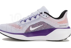 Nike Pegasus 41