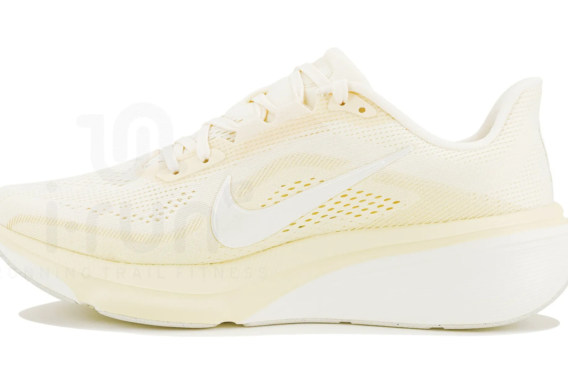 Nike Pegasus 42