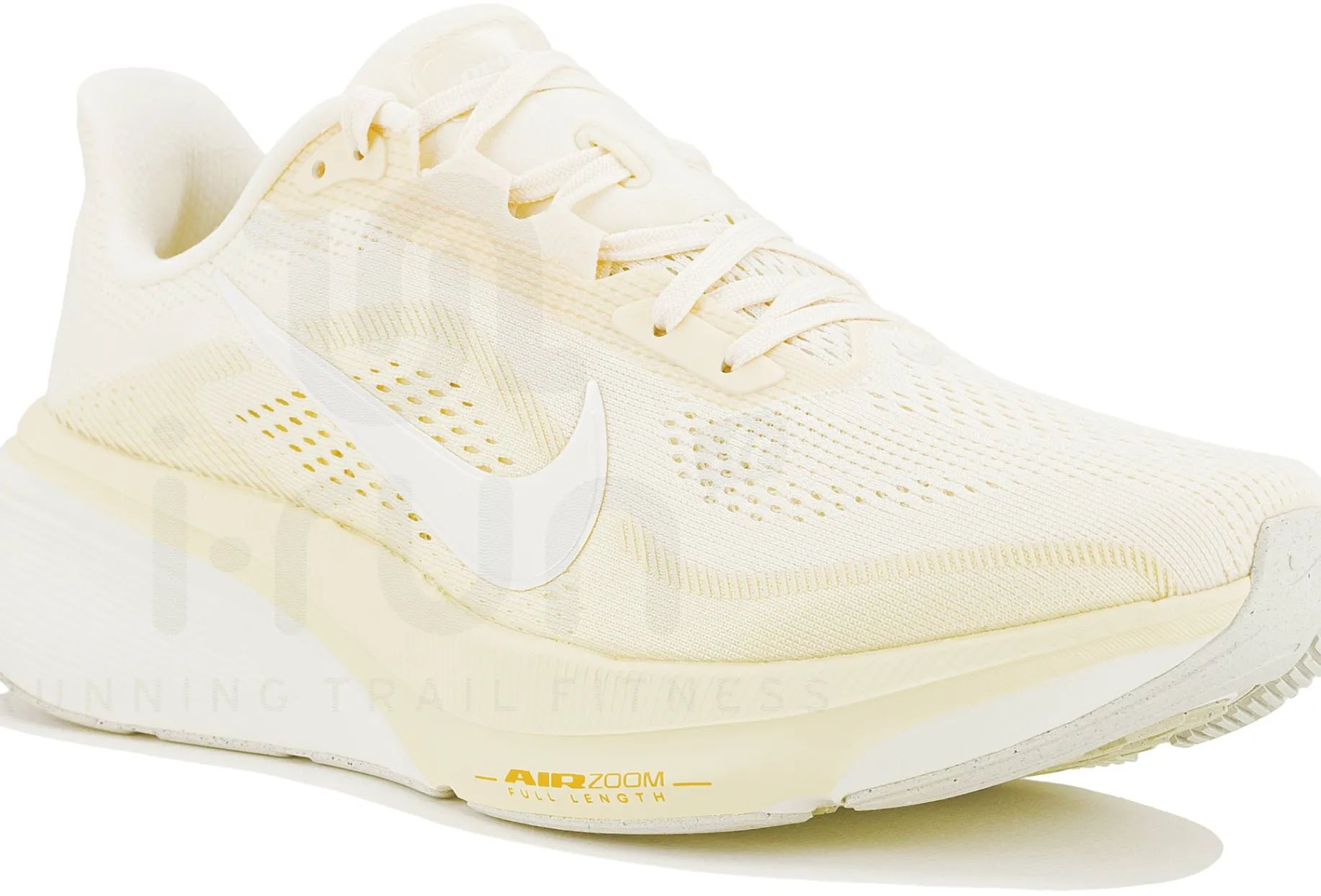 Nike Pegasus 42