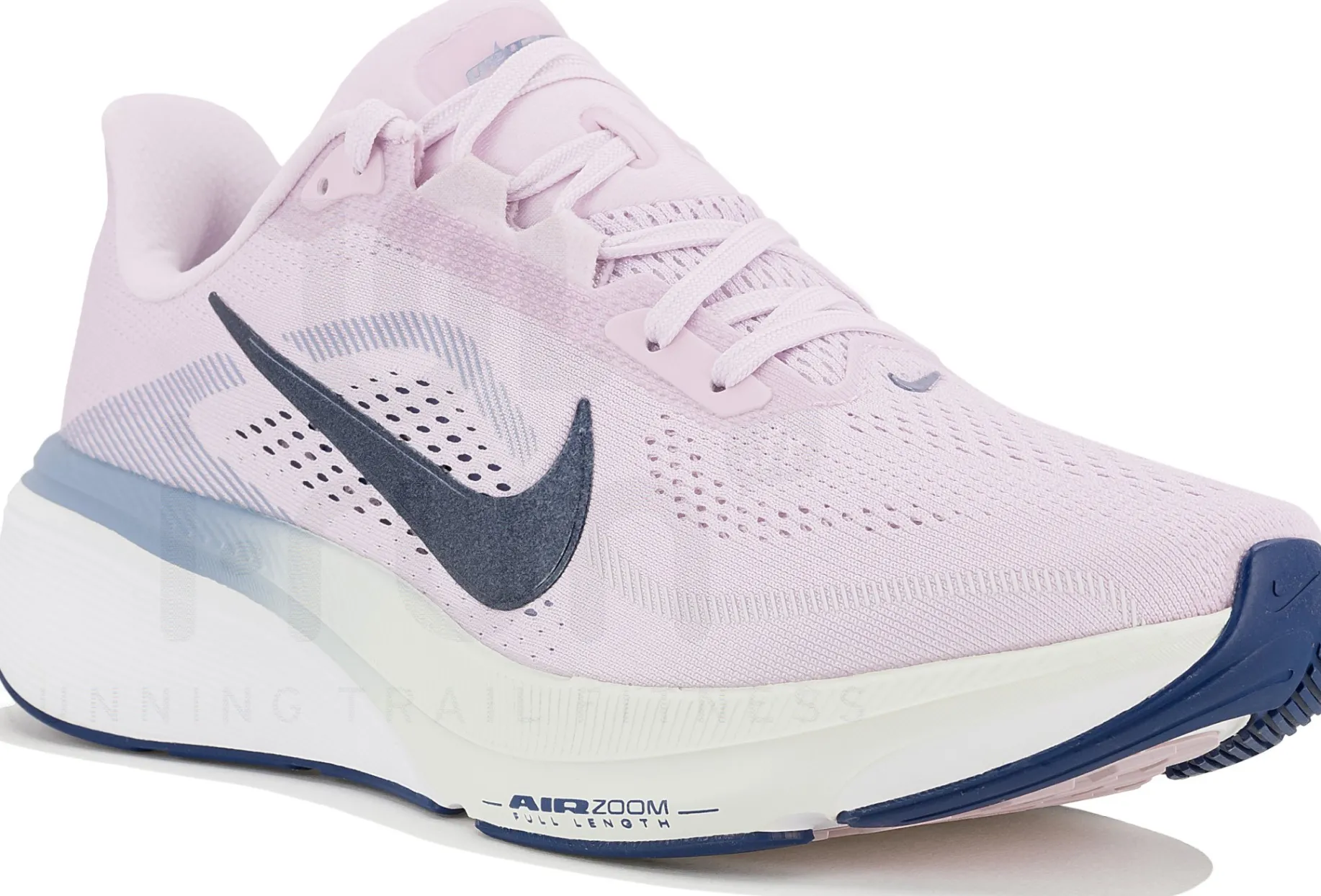 Nike Pegasus 42
