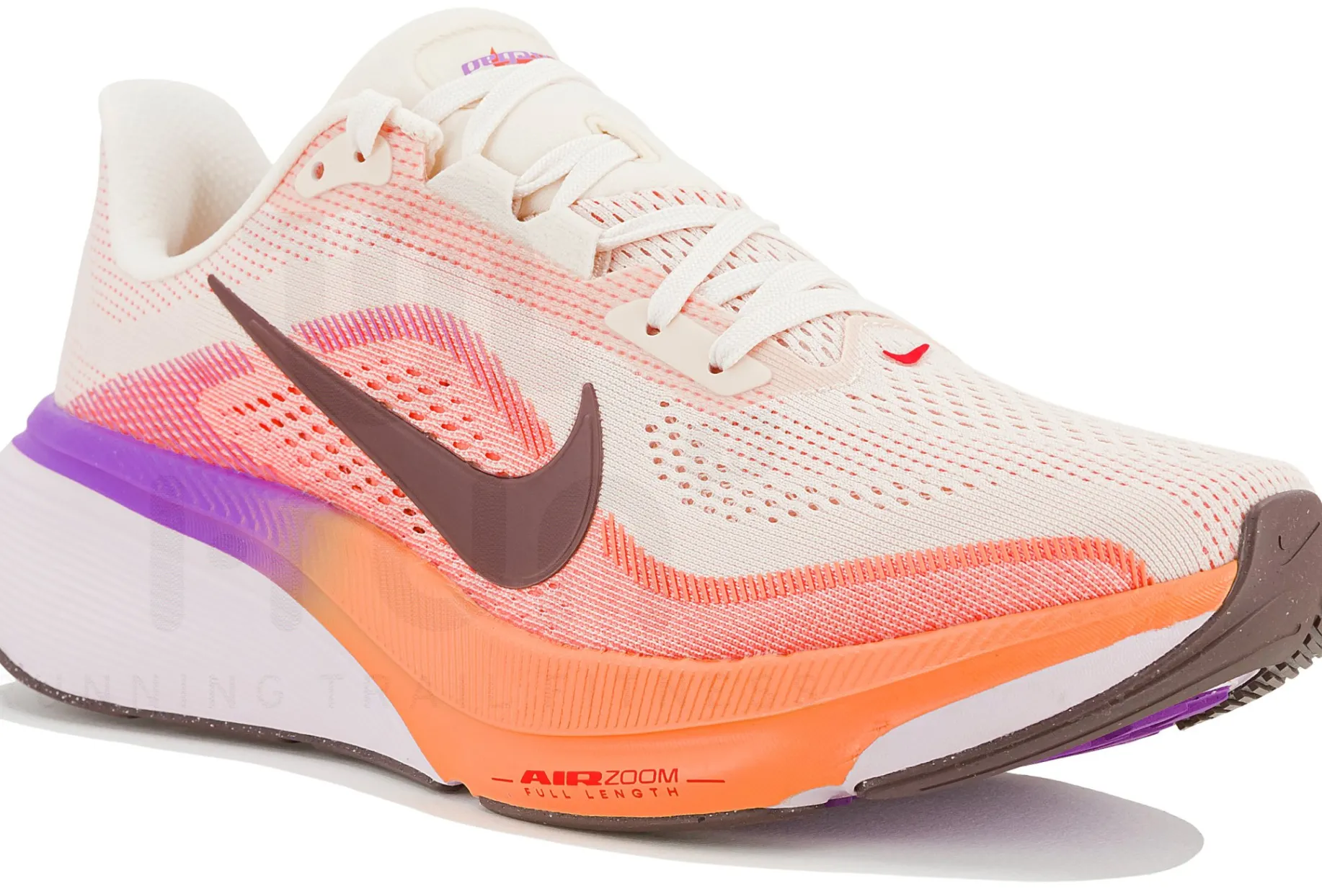 Nike Pegasus 42