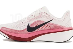 Nike Pegasus 42