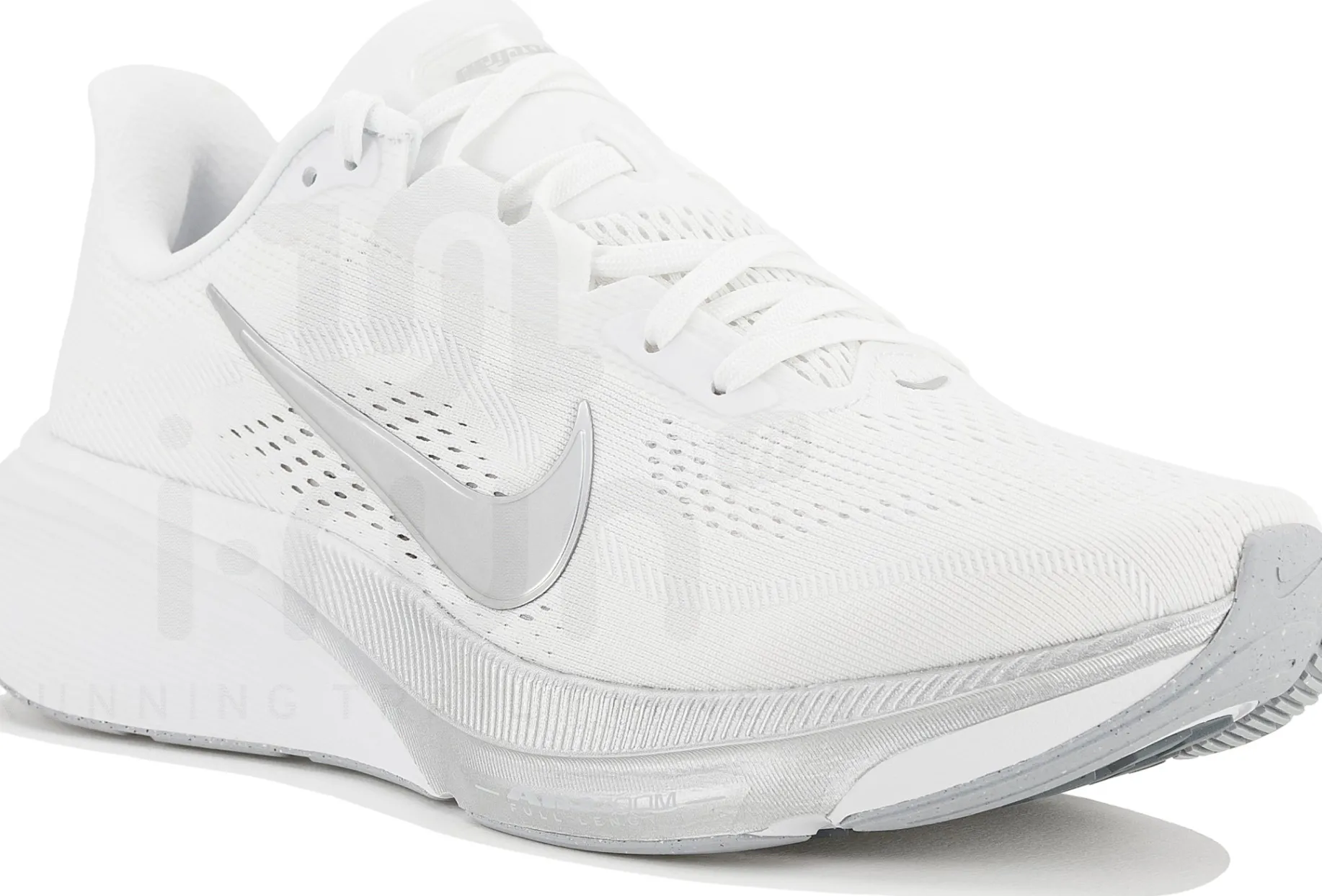Nike Pegasus 42