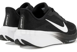 Nike Pegasus 42