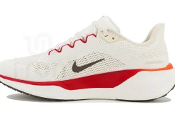 Nike Pegasus 41