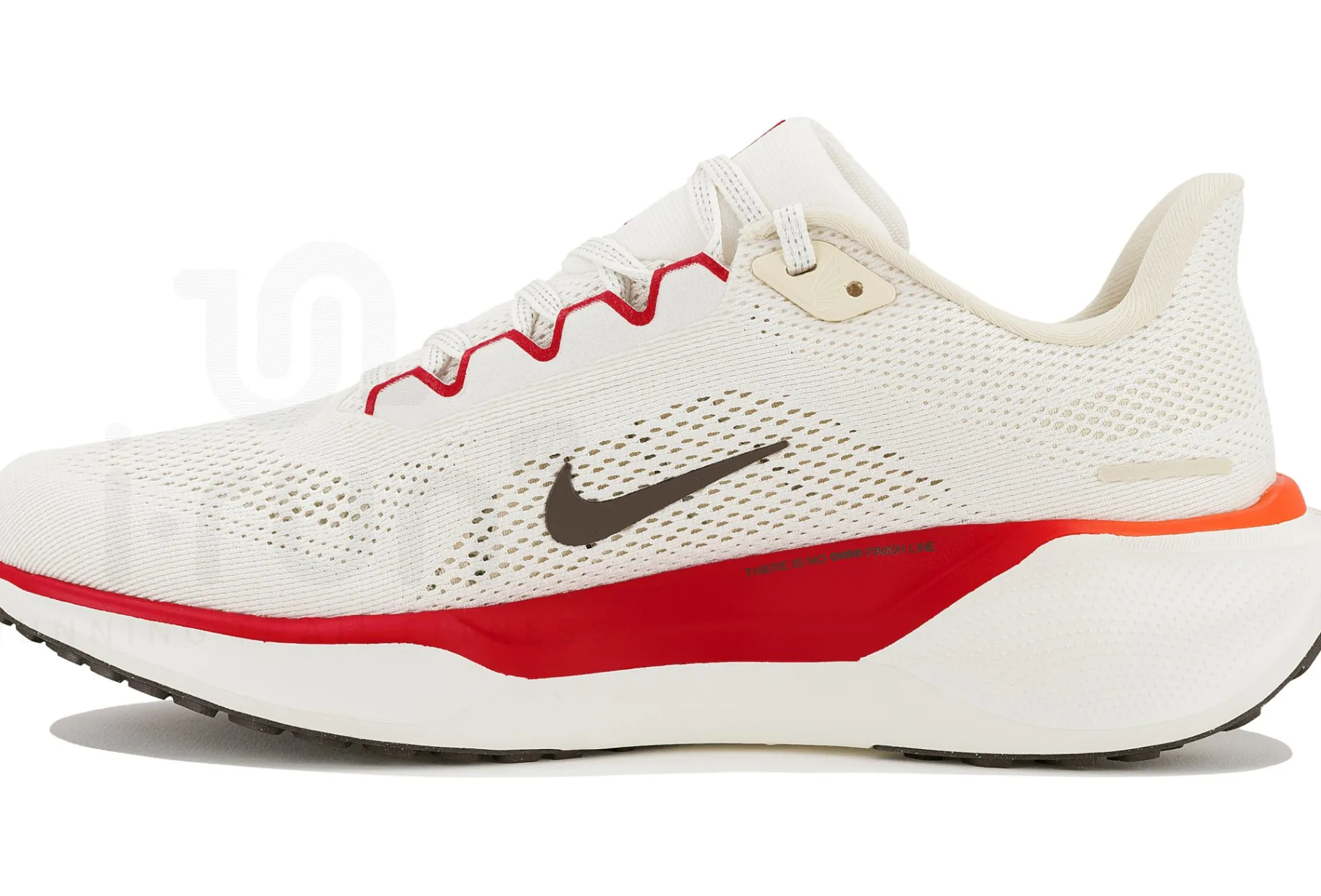 Nike Pegasus 41