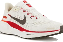 Nike Pegasus 41