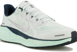 Nike Pegasus 41