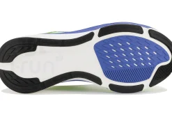 Nike Pegasus 42