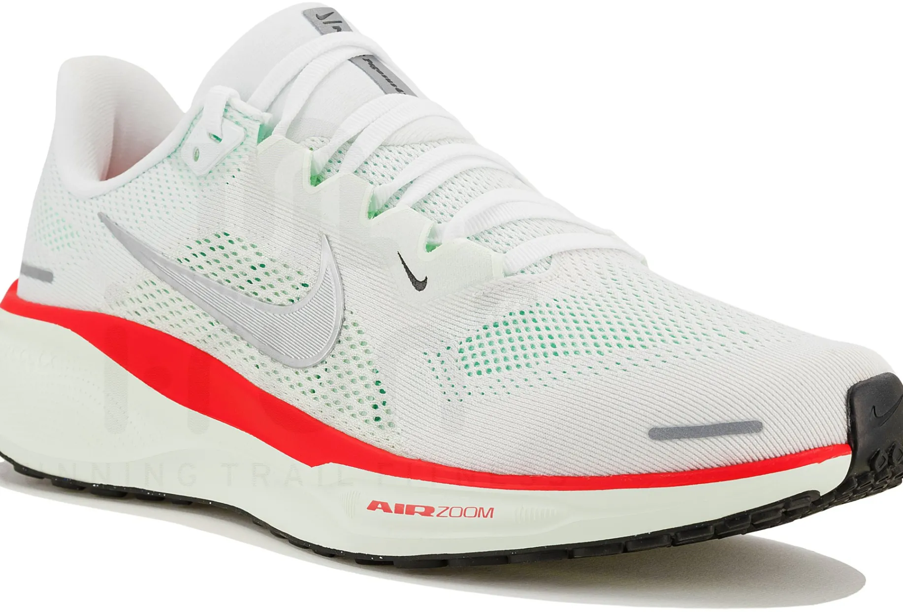 Nike Pegasus 41