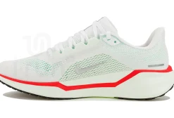 Nike Pegasus 41