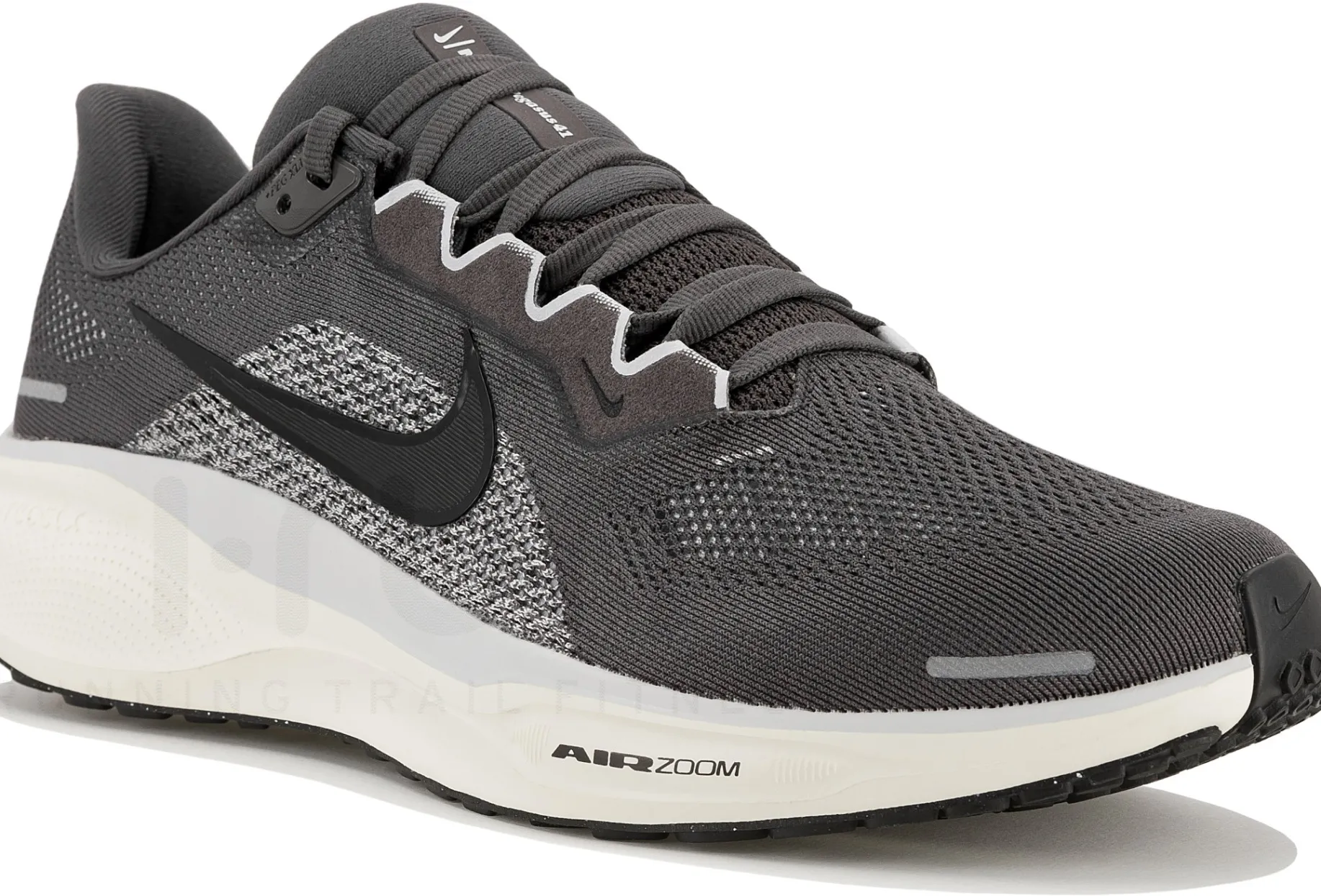 Nike Pegasus 41