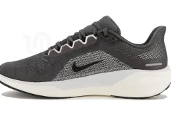 Nike Pegasus 41