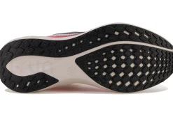 Nike Pegasus 41