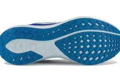 Nike Pegasus 41 Colección BRS