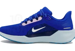 Nike Pegasus 41 Colección BRS