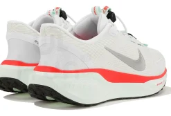 Nike Pegasus EasyOn