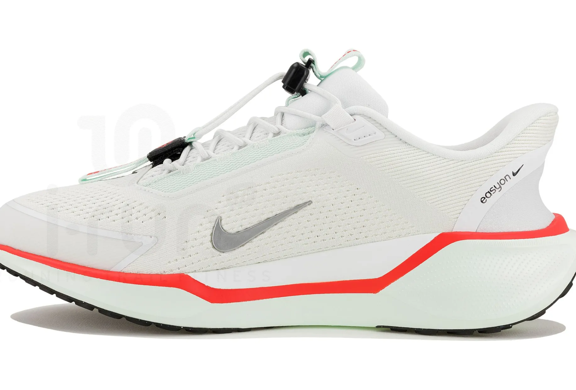 Nike Pegasus EasyOn