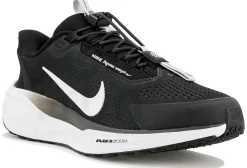 Nike Pegasus EasyOn