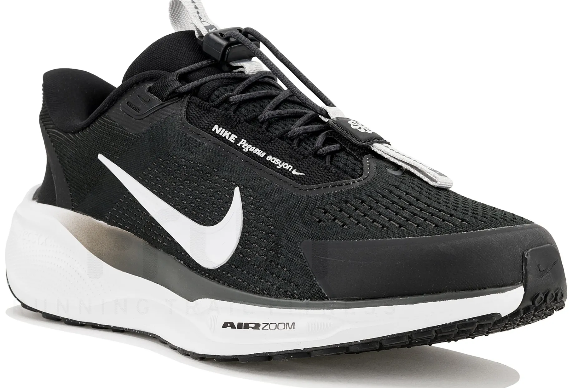Nike Pegasus EasyOn