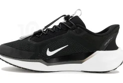 Nike Pegasus EasyOn