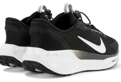 Nike Pegasus EasyOn