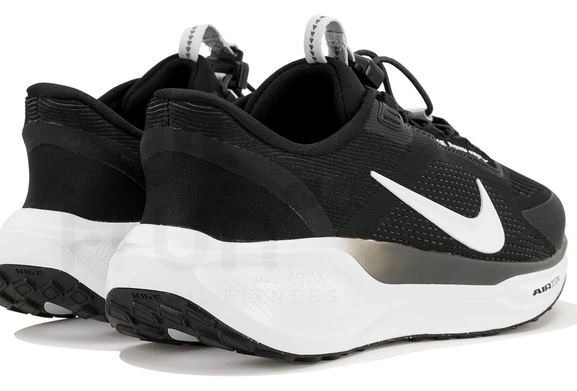 Nike Pegasus EasyOn