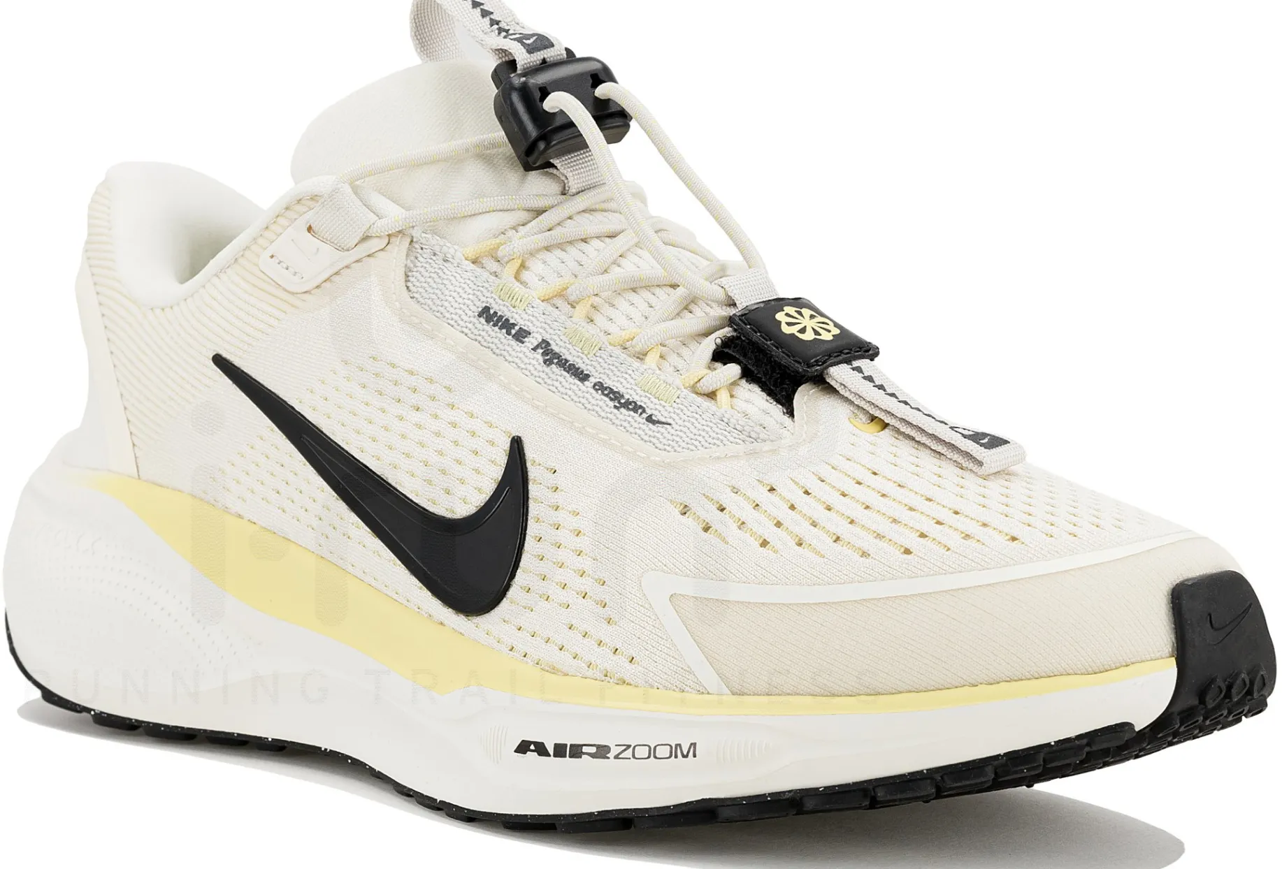 Nike Pegasus EasyOn