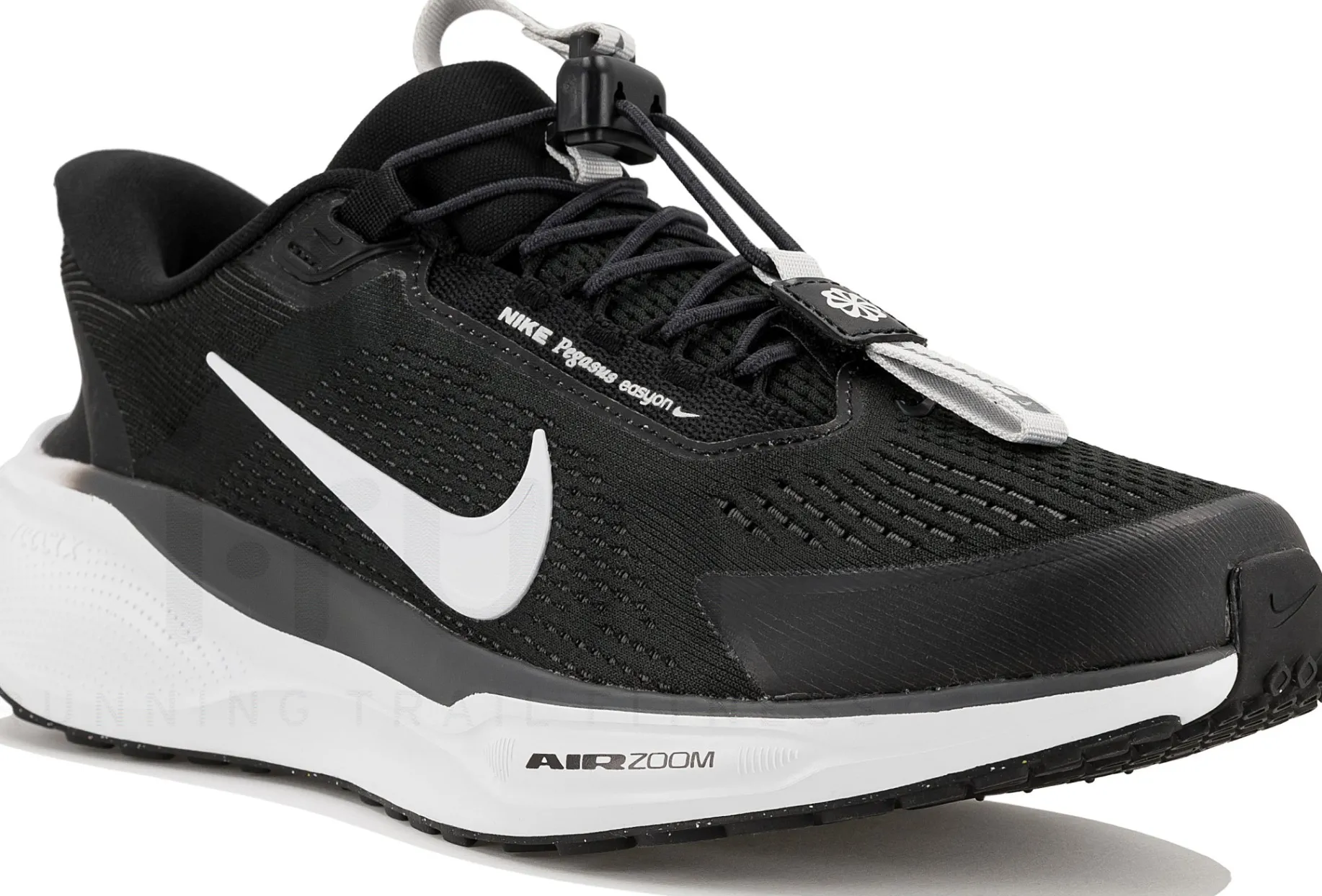 Nike Pegasus EasyOn