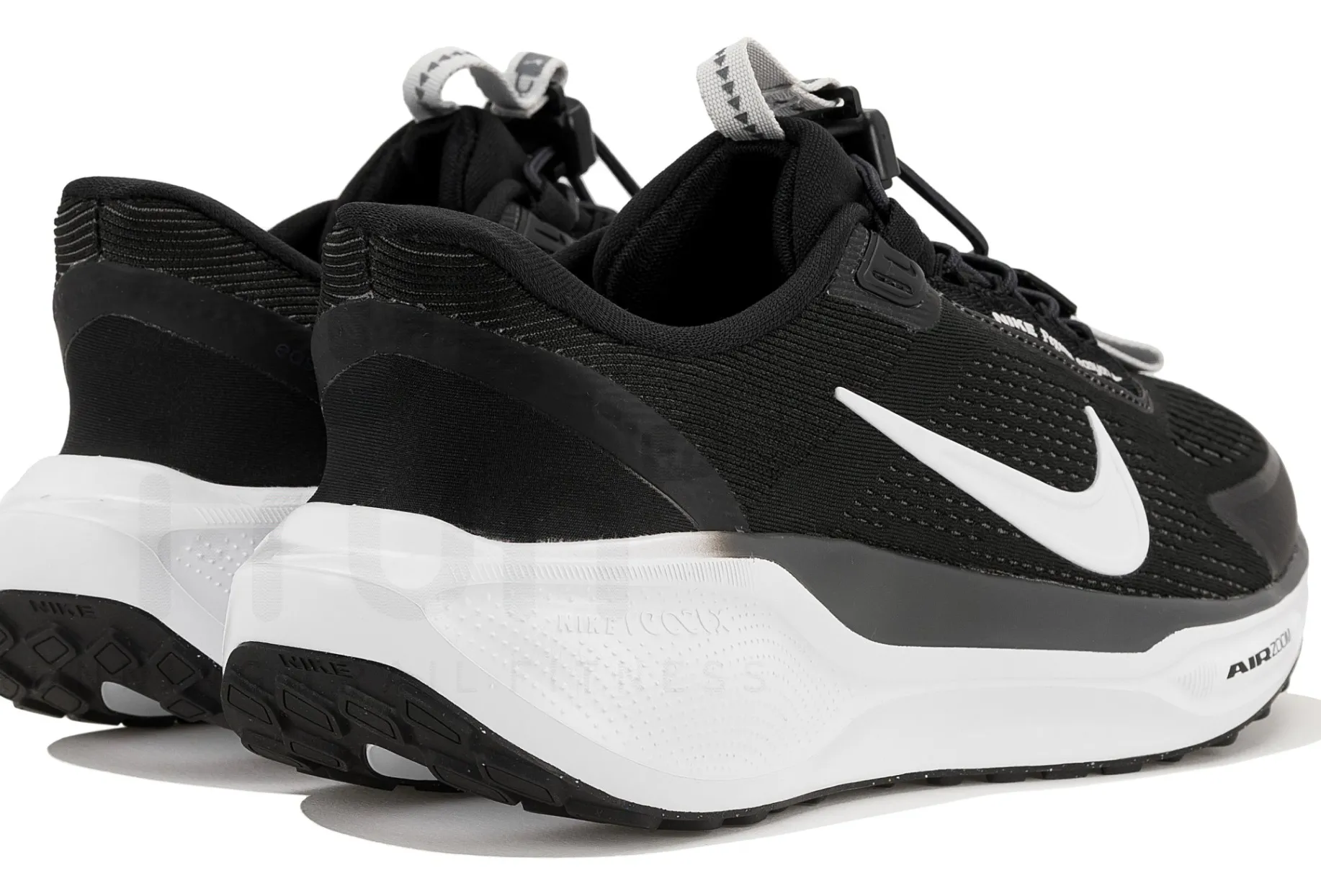 Nike Pegasus EasyOn