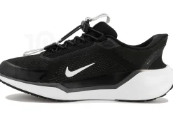 Nike Pegasus EasyOn