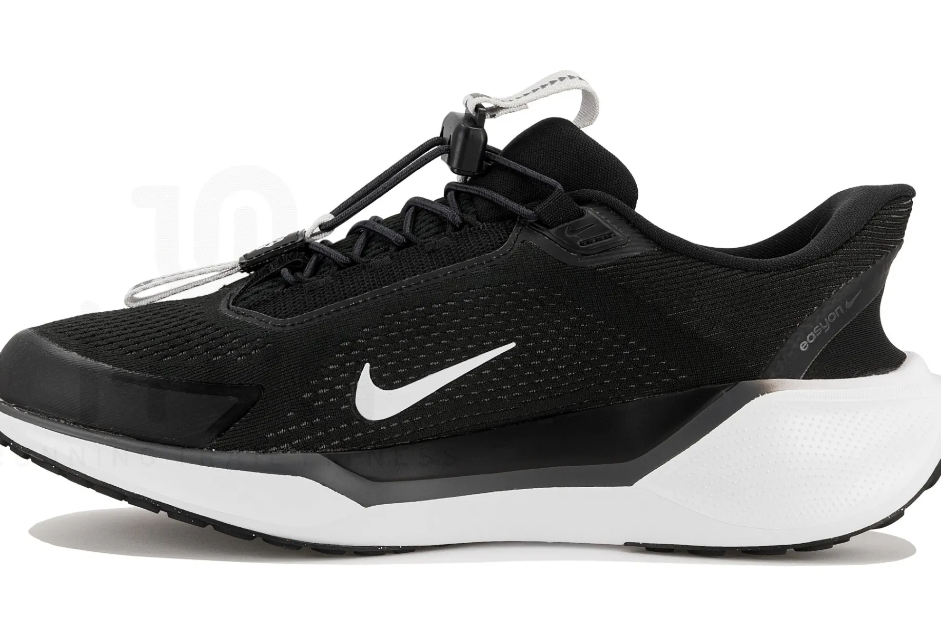 Nike Pegasus EasyOn
