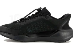 Nike Pegasus EasyOn