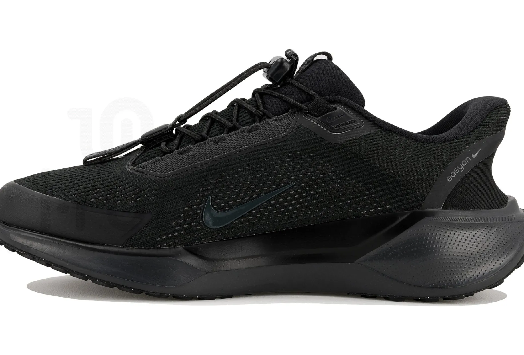 Nike Pegasus EasyOn